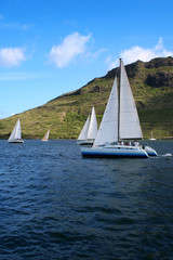 sailboat race 1
