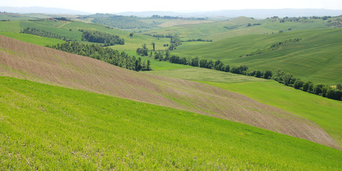 paesaggio di asciano nelle crete senesi