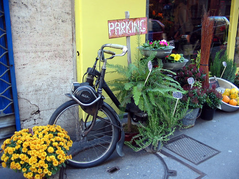 fleuriste &agrave; paris