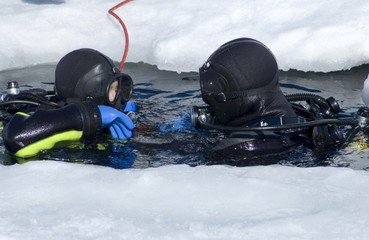 two divers rising on the surface