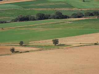 Obraz premium campo 2