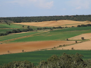 Obraz premium agricultura