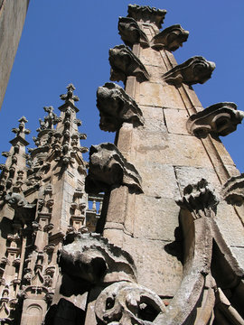 pinaculo