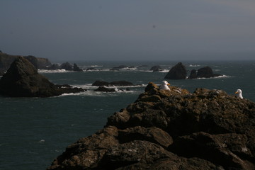 Oregon Coast