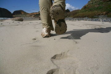 Beach Walking