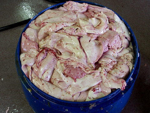 fegati di merluzzo