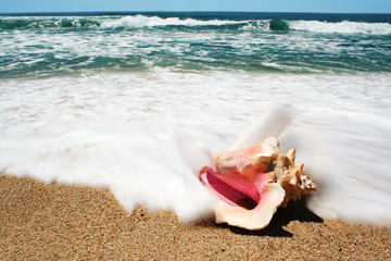 washed away shell