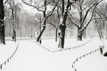 park at snowfall