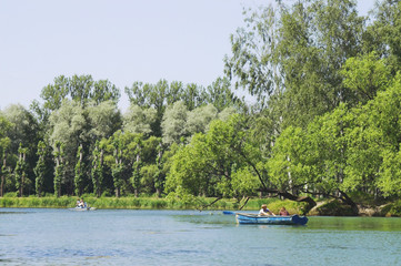 people boating in a summer park