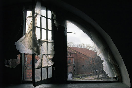 view through a window