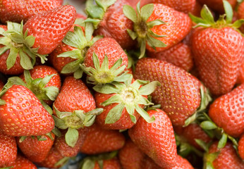 tack of fresh strawberries from  farm