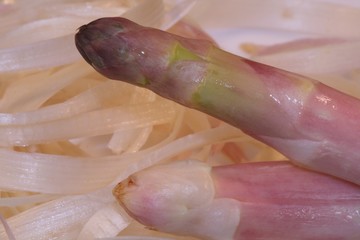 spargel