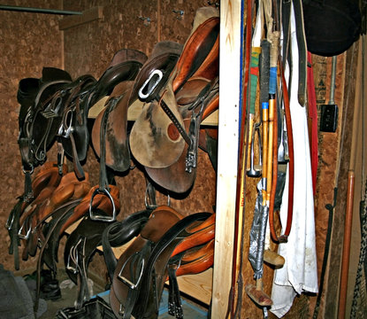 polo equipment