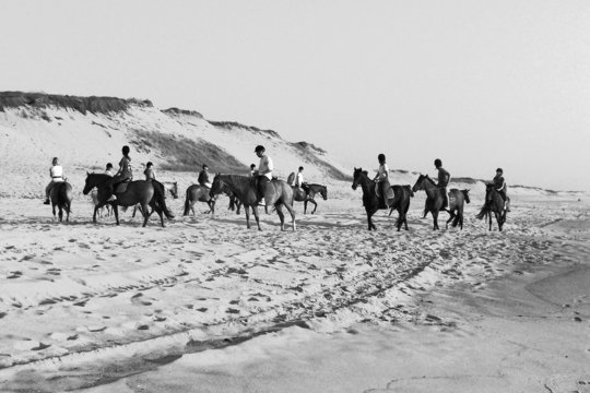 chevaux a la plage