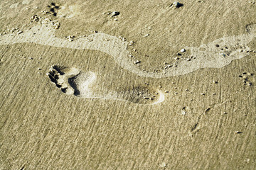 Fototapeta na wymiar footprint background