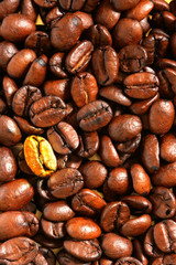 golden coffee bean