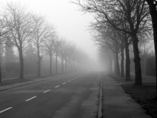 foggy road