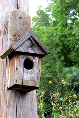 Wood Bird House