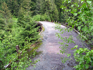 curved wooden bridge
