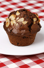 close-up of chocolate muffin