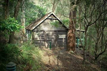 Fototapeta na wymiar old log cabin 1