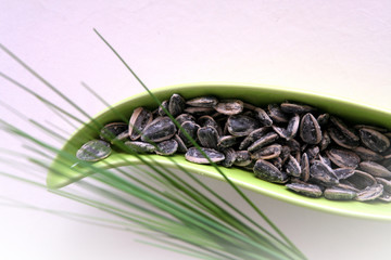 graines de tournesol