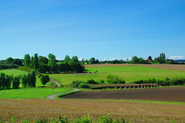 Fototapeta na wymiar idyllic farm landscape