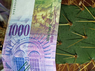 épineux capital