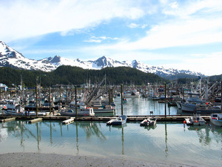 cordova harbor