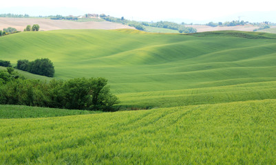 paesaggio siena e dintorni