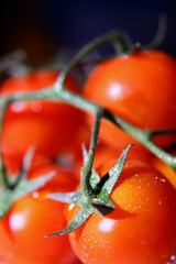 small tomatoes