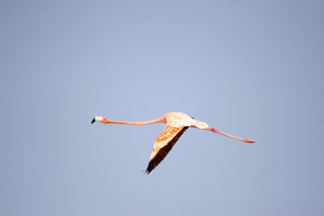 Obraz premium mexico