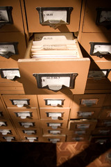 library catalogue top view