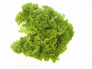Obraz premium lollo bianca salat nah aufnahme