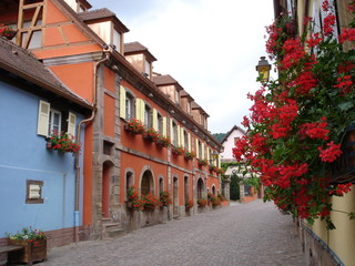 rue fleurie du village d'ottrott