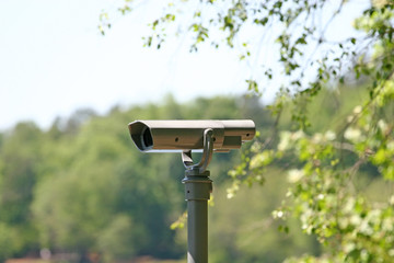 scope in woods
