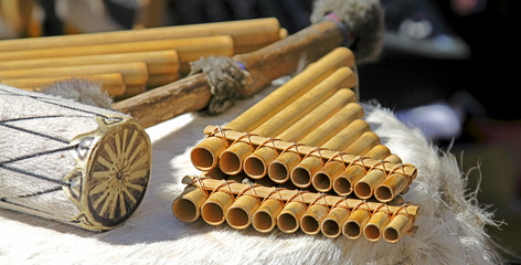 the andean instruments