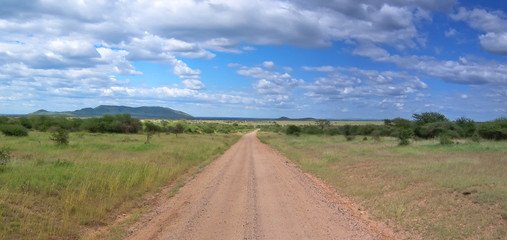 a lonely road track on the deep african savanna, serengeti park,