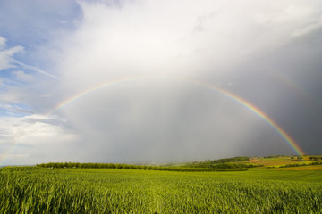regenbogen