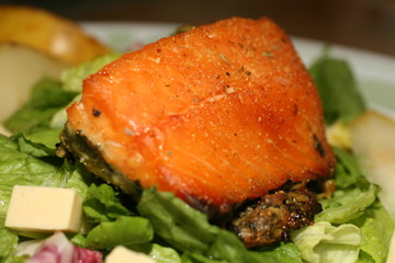 salmon