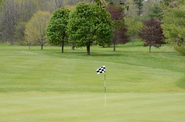 Obraz premium putting green