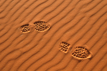 footsteps in the sahara desert