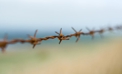 barb wire, close up, rust, blur