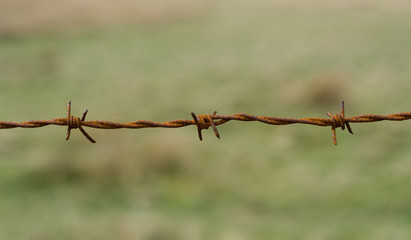barb wire, close up, rust