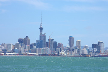 auckland harbour