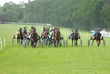 course hippique