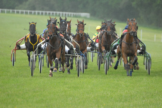 course de trot attel&eacute;
