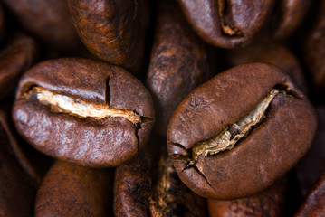coffee seeds
