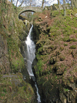  aira force