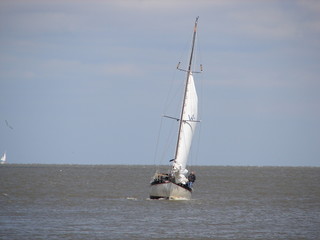 slightly tilted sail boat in the gulf of mexico